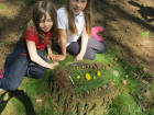 Arboretum Trip_15