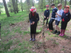 Arboretum Trip_57