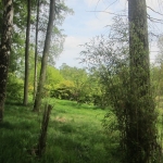 Arboretum Trip_34