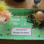 An Egg-cellent Competition23