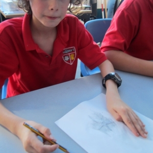 Geology rocks_15