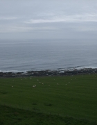 2016 Northumberland_016