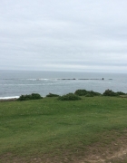 2016 Northumberland_053