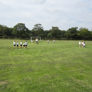 Y6andY2_16