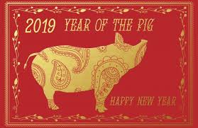 Stylised image of a pig drawn in gold red with the text "2019 year of the pig" above and "happy new year" below and to the the right.