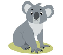 cartoon koala bear