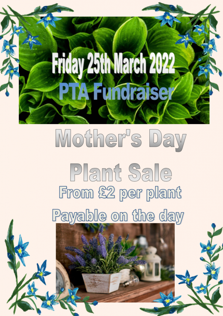 PTA Mother’s Day Plant Sale Elvington Church of England Primary School