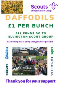 Daffodil Sale for Elvington Scout Group